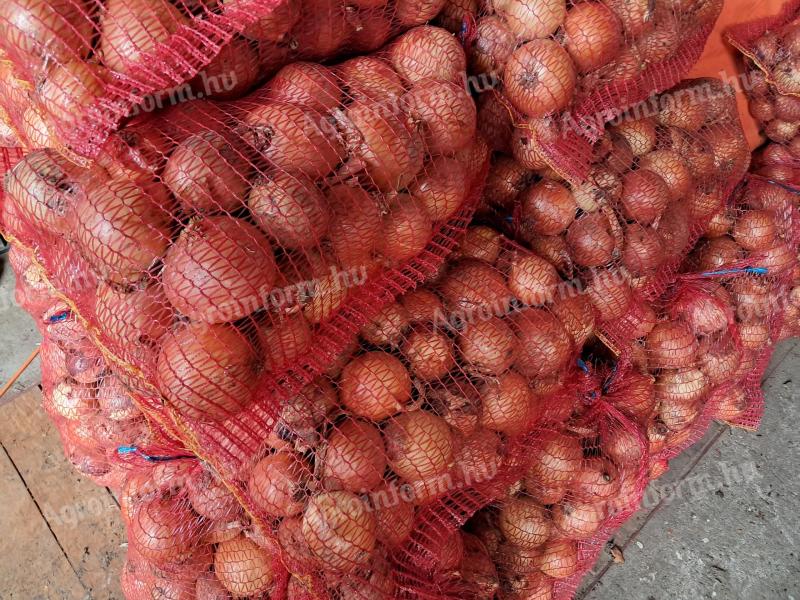 Nagyméretű Medusa F1 vöröshagyma eladó