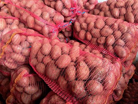 Deesire burgonya eladó Deesire burgonya eladó