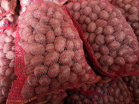 Deesire közepes méretű burgonya eladó Deesire közepes méretű burgonya eladó