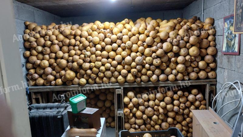 Kanadai sütötök eladó