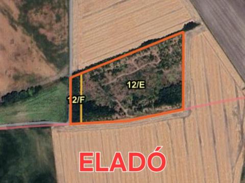 Erdőterület eladó 1/1 tulajdonból,  földterülettel együtt