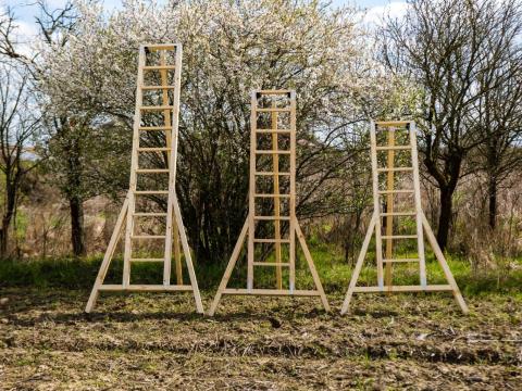 Kertészeti létra metszéshez
