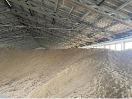 2025. évi SU Liborius fajta tritikálé eladó