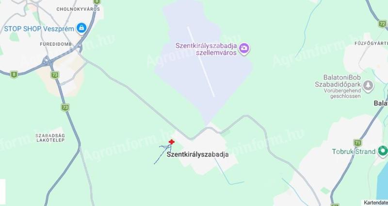 Szántó Szentkirályszabadján