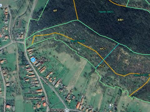 3,2 hektár, 1/1 tulajdonú akácerdő eladó Nemtiben, 450.000 Ft/ hektár