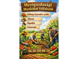 Mezőgazdasági munkákat vállalunk
