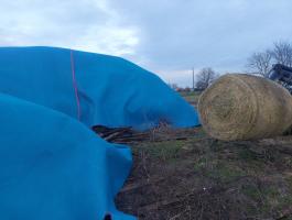 Eladó szénabálák