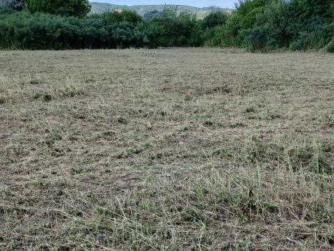 Szántóföld eladó Siklós határában