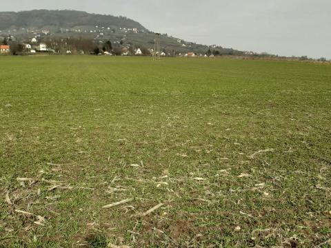 Eladó földterület 1/1 tulajdoni hányaddal