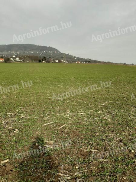 Eladó földterület 1/1 tulajdoni hányaddal