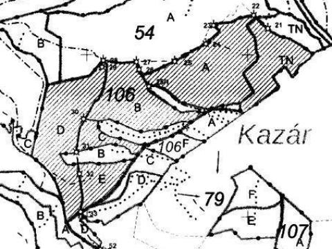Eladó kazári erdő – faállomány és terület együtt Eladó kazári erdő – faállomány és terület együtt