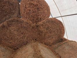 Lucernabàla fedett helyről!