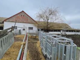 Komplett szarvasmarha válogató karámrendszer,  Szarvasmarha kezelő kaloda,  szarvasmarha hengerbála etető