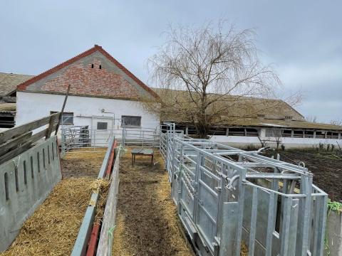 Komplett szarvasmarha válogató karámrendszer,  Szarvasmarha kezelő kaloda,  szarvasmarha hengerbála etető