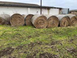 Füves lucerna eladó