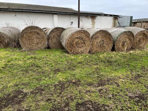 Füves lucerna eladó