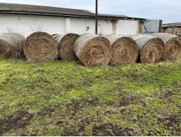 Füves lucerna eladó