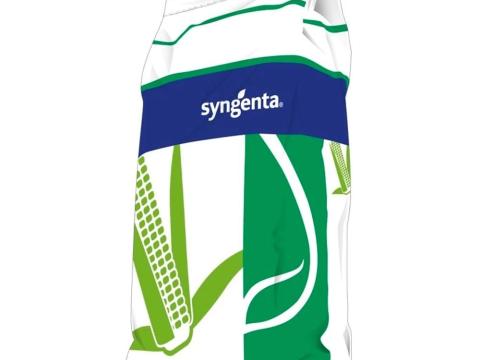 Syngenta SY Artos FAO 350-370 kukorica vetőmag
