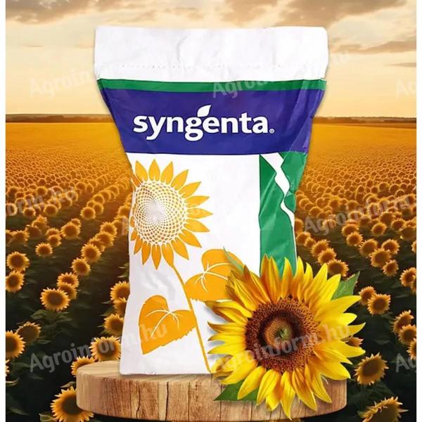 Syngenta SY Fergus CLP napraforgó vetőmag