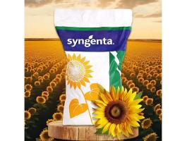 Syngenta SY Sumiko HTS napraforgó vetőmag