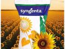 Syngenta SY Gracia CLP napraforgó vetőmag