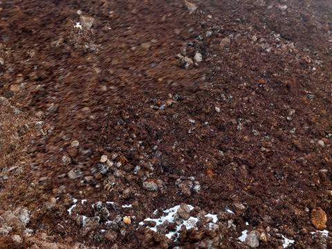 Eladó letermett gomba komposzt