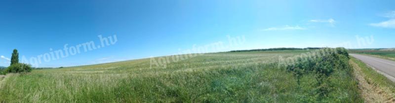 Eladó szántóföld Bükkaranyos-Emőd közelében