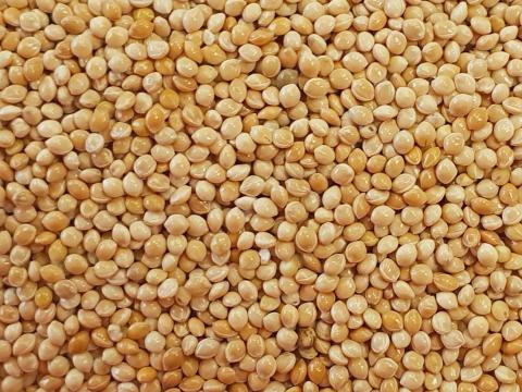 Keresek MSZ minőségnek követelményeknek megfelelő sárga és vörös kölest big bag csomagolásban