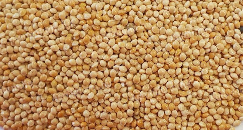 Keresek MSZ minőségnek követelményeknek megfelelő sárga és vörös kölest big bag csomagolásban