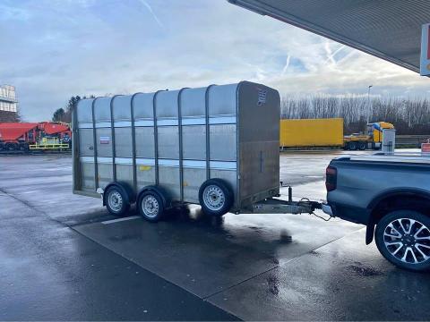 Ifor Williams TA510G14 Easy-Load állatszállító eladó