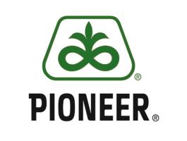 Pioneer P64LE168 Napraforgó vetőmag