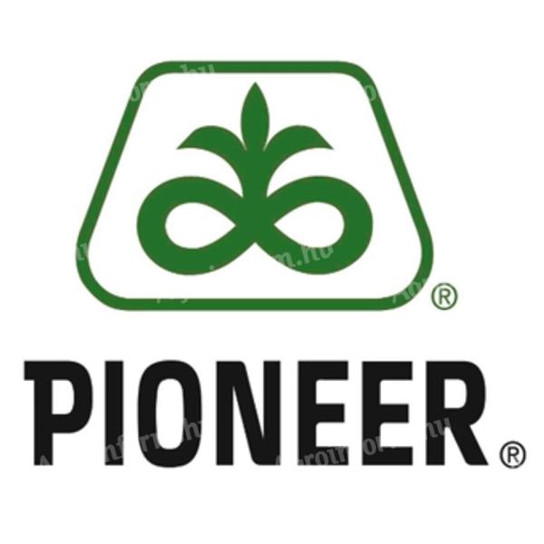 Pioneer P64LL155 napraforgó vetőmag – kimagasló hozam, országos szállítás