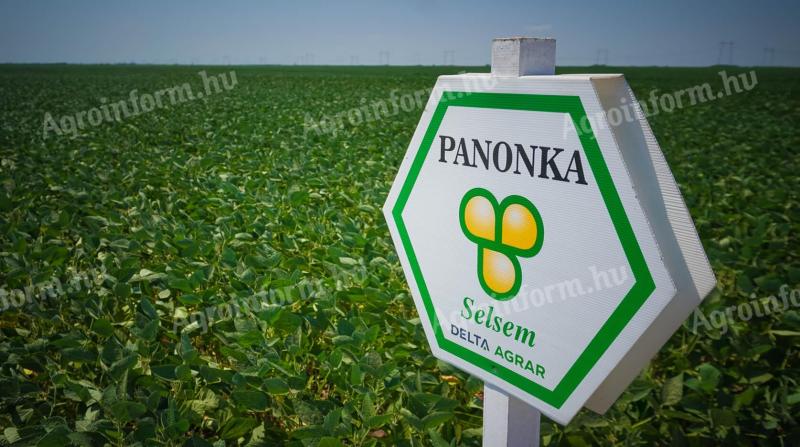Selsem Panonka (2.750.000 mag/big-bag zsák) szója vetőmag - Ingyenes szállítás országosan