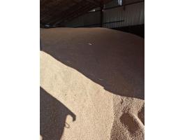 Búza nagy tételben eladó