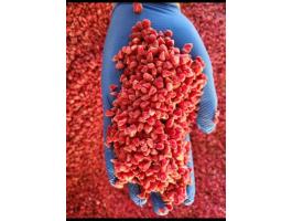 Fagyasztott Gríz Málna eladó