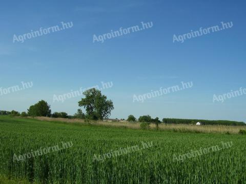 Nemesnádudvar, Farkasszigetben eladó 3,1 hektár földterület