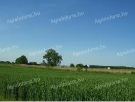 Nemesnádudvar, Farkasszigetben eladó 3,1 hektár földterület