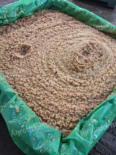 Frissen darált alma cefre