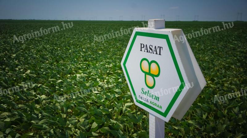 Selsem Pasat (2.750.000 mag/big-bag zsák) szója vetőmag - Ingyenes szállítás országosan