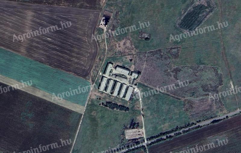 Füzesgyarmaton Tóth tanya állattartó telep eladó