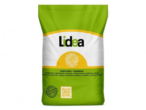 Lidea Belfis CLP napraforgó vetőmag – kiemelkedő termőképességű hibrid
