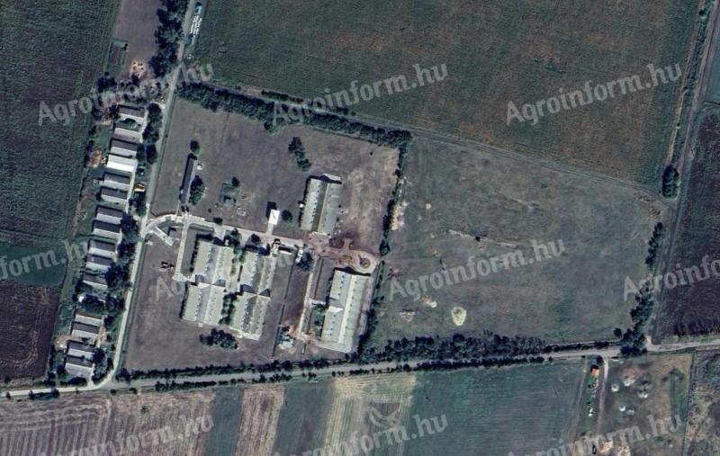 Füzesygyarmaton Réti tanya állattartó telep eladó