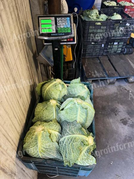 Kelkáposzta eladó