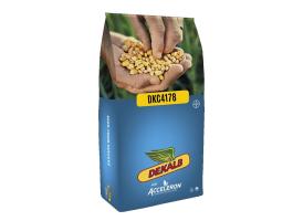 Dekalb DKC4178 FAO: 320-340 kukorica vetőmag - Megbízható, korai választás