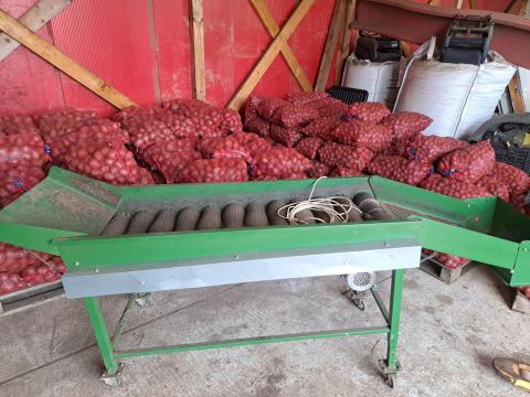 Eladó burgonyakefe 12 hengerrel, 220 V-os villanymotorral Eladó burgonyakefe 12 hengerrel, 220 V-os villanymotorral