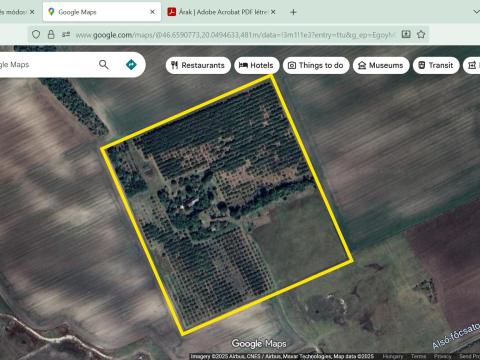 Eladó 8,2 hektáros tanya Felgyőn