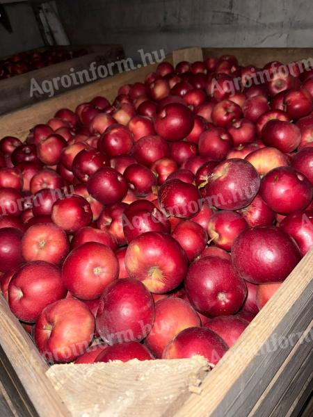 Többféle friss alma Lengyelországból!