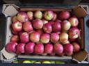 Többféle friss alma Lengyelországból!