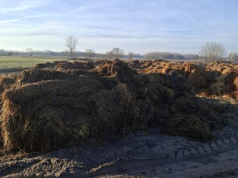 Szerves trágya Szerves trágya