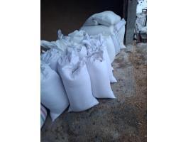 Tritikálé felzsákolva, azonnal készletről elérhető